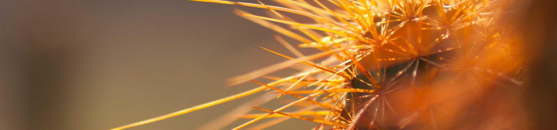 宁德易辰重型设备包装有限公司 &middot; 毕节运营中心